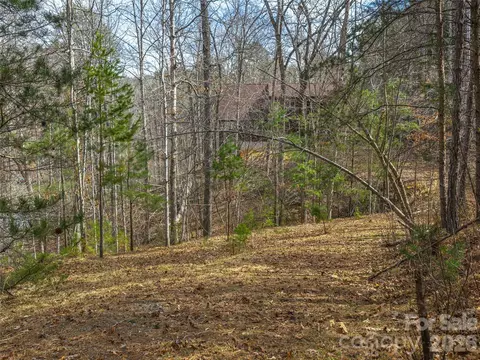 Lake Adger Parkway, Mill Spring, NC 28756 photo 4