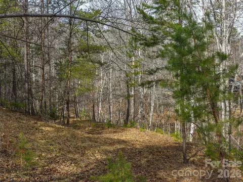 Lake Adger Parkway, Mill Spring, NC 28756 photo 5