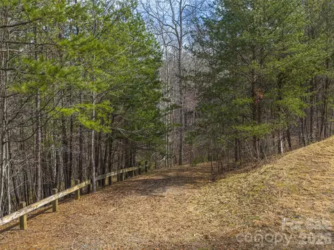 Lake Adger Parkway, Mill Spring, NC 28756 photo 7