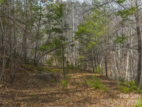 Lake Adger Parkway, Mill Spring, NC 28756 photo 6