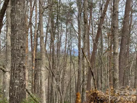Carmel Ridge, Rutherfordton, NC 28139