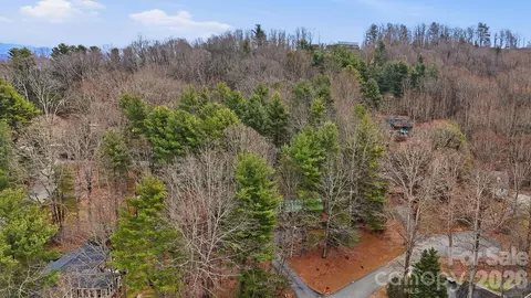 View/Area - 205 Mint Way, Flat Rock, NC 28731 photo 2 of 4