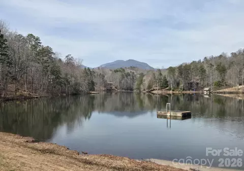 229 Buzzards Pl, Lake Lure, NC 28746