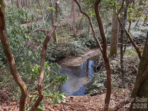 Cherrywood L-12 Lane #L-12, Pisgah Forest, NC 28768