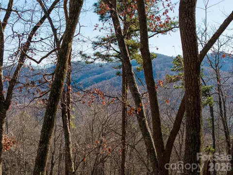 92 Smokey Ridge Trl, Arden, NC 28704