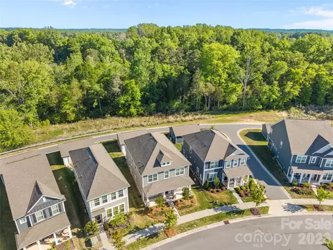 View/Area - 15721 White Quartz Ln, Davidson, NC 28036 photo 2 of 3