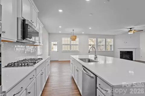 Other - 15721 White Quartz Ln, Davidson, NC 28036 photo 6 of 17