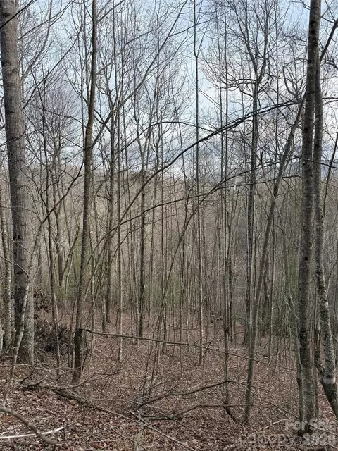 0 White Fawn Dr, Spruce Pine, NC 28777 photo 12