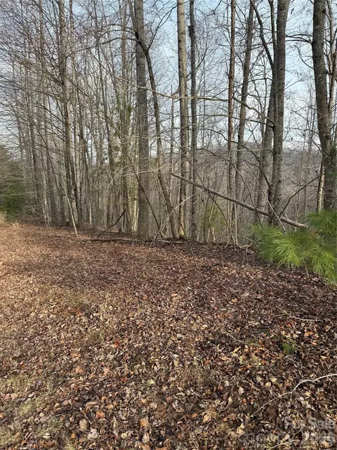 0 White Fawn Dr, Spruce Pine, NC 28777 photo 5