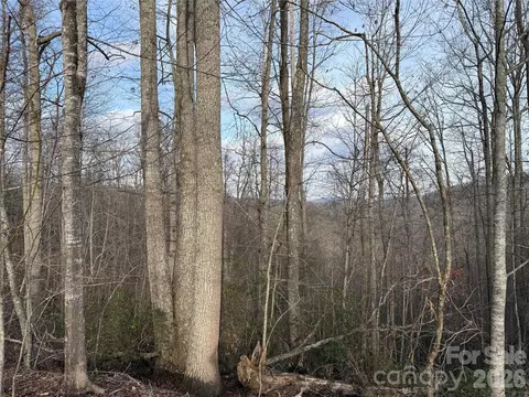 0 White Fawn Dr, Spruce Pine, NC 28777 photo 3