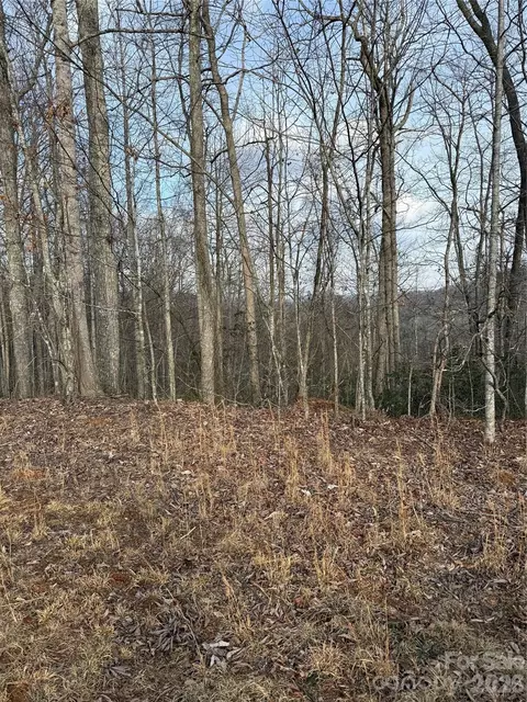 0 White Fawn Dr, Spruce Pine, NC 28777 photo 2