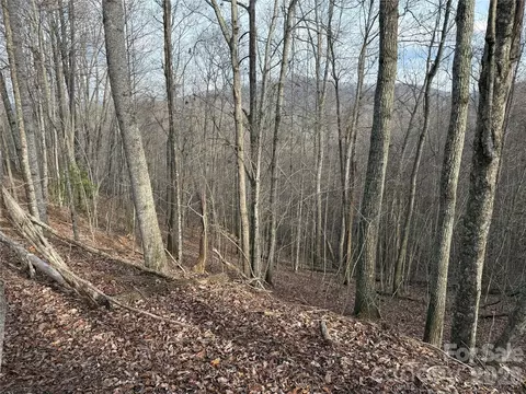 0 White Fawn Dr, Spruce Pine, NC 28777 photo 6