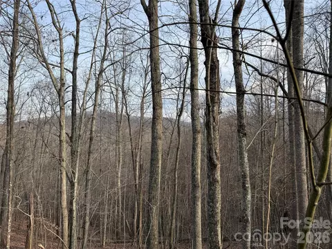 0 White Fawn Dr, Spruce Pine, NC 28777 photo 8