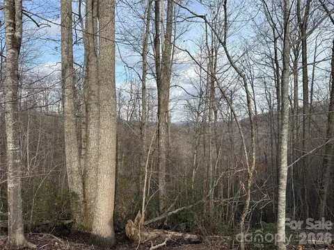 0 White Fawn Dr, Spruce Pine, NC 28777 photo 4