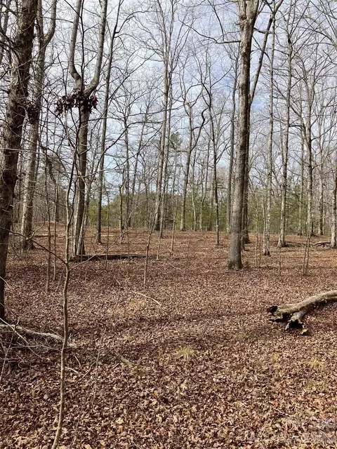 Springbrook Court, Columbus, NC 28722