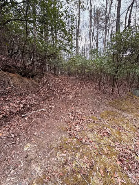 66 Tsisqua Circle #66/05, Brevard, NC 28712