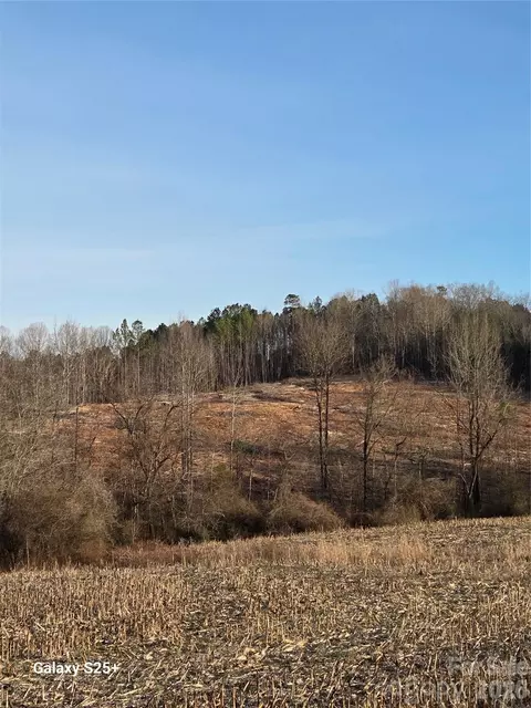 Pole Running Road, Mount Pleasant, NC 28124 photo 3