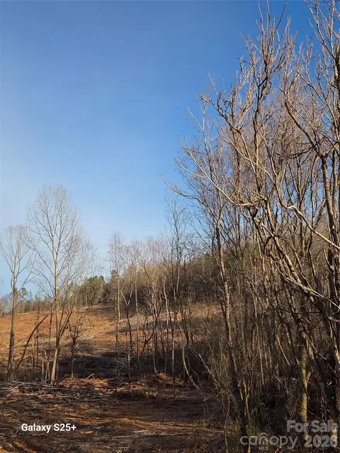 Pole Running Road, Mount Pleasant, NC 28124 photo 20