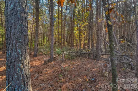 0000 Bud Davis 8 Rd #8, Vale, NC 28168 photo 27