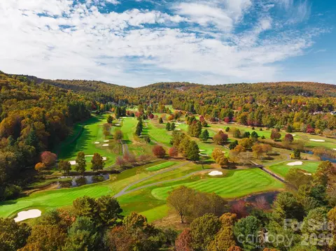 Other - 303 Golfside Dr, Flat Rock, NC 28731 photo 10 of 11