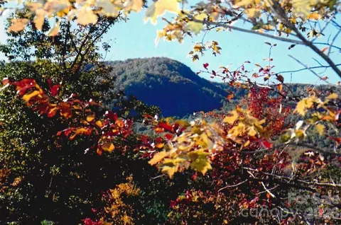 000 Froggyville Ln, Mill Spring, NC 28756