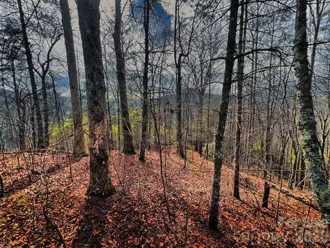 232 Thorncliff 82 Rd #82, Marshall, NC 28753