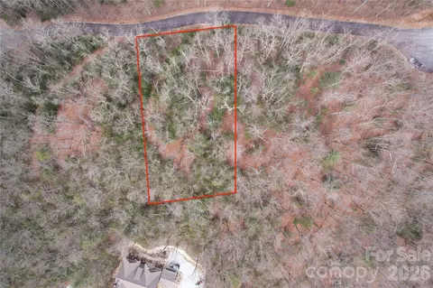Laurel Thicket Lane, Brevard, NC 28712 photo 2