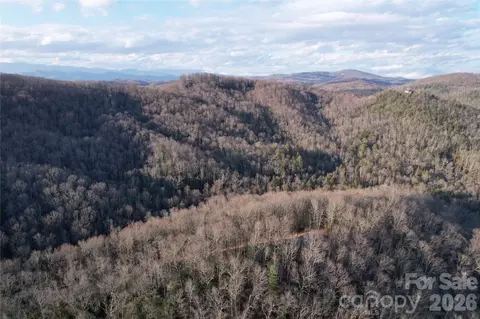 Laurel Thicket Lane, Brevard, NC 28712 photo 17