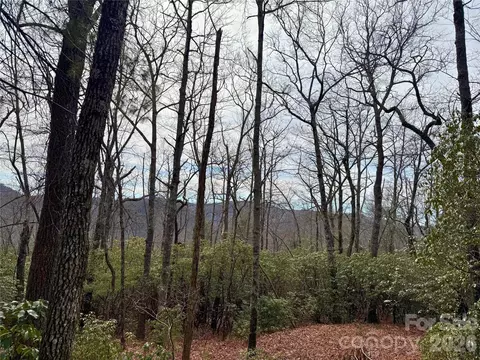 Laurel Thicket Lane, Brevard, NC 28712