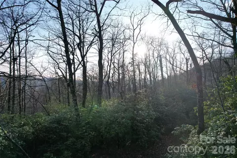 Laurel Thicket Lane, Brevard, NC 28712 photo 6