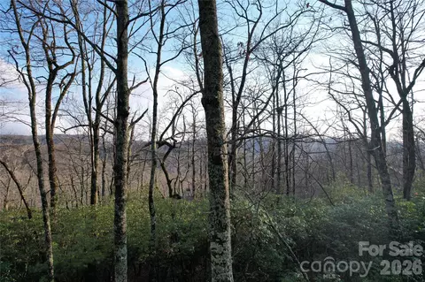 Laurel Thicket Lane, Brevard, NC 28712 photo 4