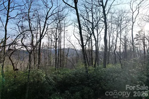 Laurel Thicket Lane, Brevard, NC 28712 photo 8