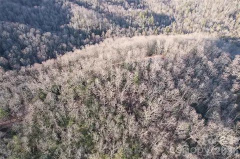 Laurel Thicket Lane, Brevard, NC 28712 photo 18