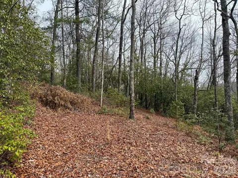 Laurel Thicket Lane, Brevard, NC 28712 photo 10
