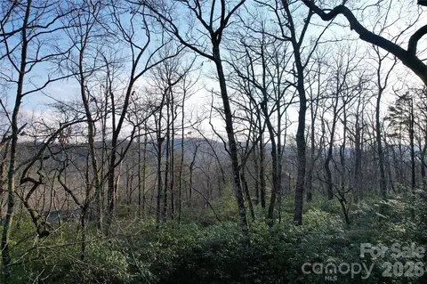 Laurel Thicket Lane, Brevard, NC 28712 photo 9
