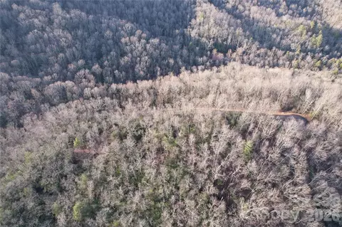 Laurel Thicket Lane, Brevard, NC 28712 photo 15