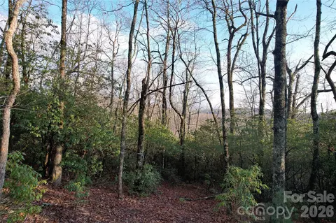 Laurel Thicket Lane, Brevard, NC 28712 photo 5