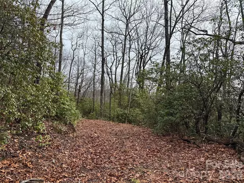 Laurel Thicket Lane, Brevard, NC 28712 photo 11