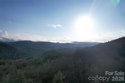 Laurel Thicket Lane, Brevard, NC 28712 photo 19