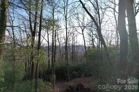 Laurel Thicket Lane, Brevard, NC 28712 photo 7