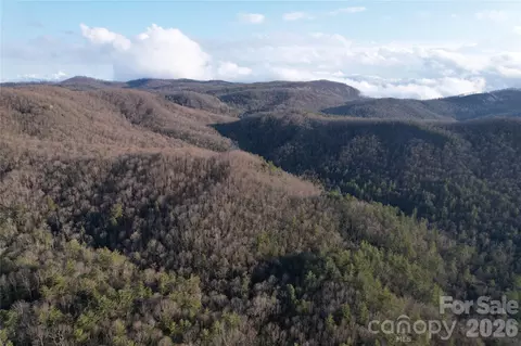 Laurel Thicket Lane, Brevard, NC 28712 photo 16