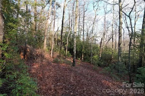 Laurel Thicket Lane, Brevard, NC 28712 photo 12