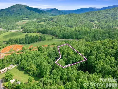 Hinson Thomas Road, Spruce Pine, NC 28777