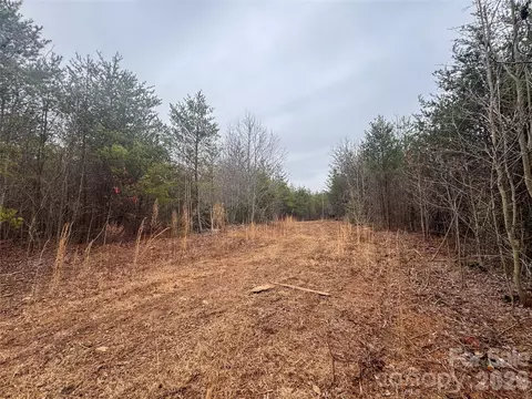 00 Baugess Mill Rd, Traphill, NC 28685 photo 20