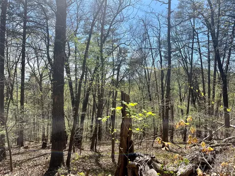 0 Pilgrim Church Rd, Hiddenite, NC 28636
