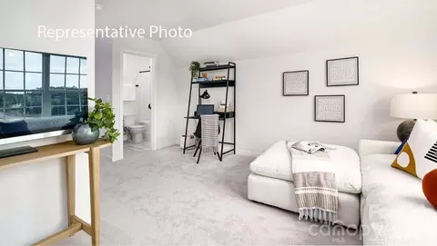 Other - 3117 Spring Iris Dr, Denver, NC 28037 photo 14 of 22