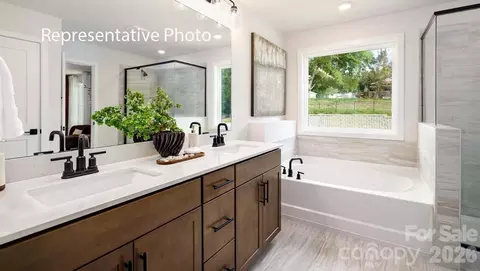 Bath - 3117 Spring Iris Dr, Denver, NC 28037 photo 1 of 4