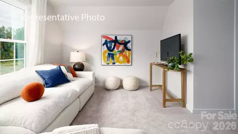Other - 3117 Spring Iris Dr, Denver, NC 28037 photo 13 of 22