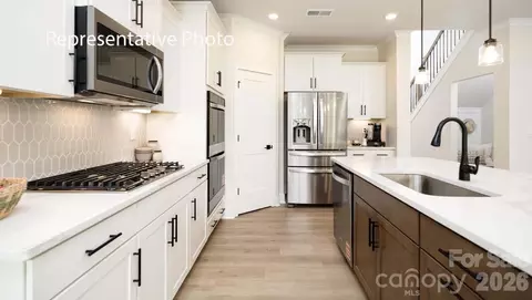 Other - 3117 Spring Iris Dr, Denver, NC 28037 photo 21 of 22