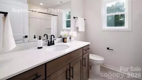 Other - 3117 Spring Iris Dr, Denver, NC 28037 photo 5 of 22